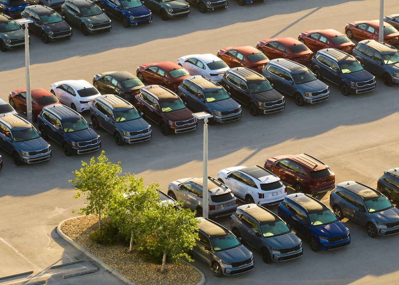 car dealership security with MSUs